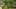 Game screenshot thumbnail 3
