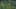 Game screenshot thumbnail 1