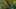 Game screenshot thumbnail 1