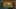 Game screenshot thumbnail 1