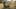Game screenshot thumbnail 5