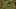 Game screenshot thumbnail 1