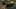 Game screenshot thumbnail 5