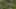 Game screenshot thumbnail 2
