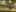 Game screenshot thumbnail 5