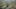 Game screenshot thumbnail 1