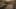 Game screenshot thumbnail 1