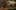 Game screenshot thumbnail 1