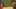 Game screenshot thumbnail 2
