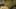 Game screenshot thumbnail 1