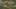 Game screenshot thumbnail 1
