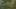 Game screenshot thumbnail 2