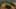 Game screenshot thumbnail 1