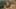 Game screenshot thumbnail 2