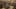 Game screenshot thumbnail 4