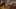 Game screenshot thumbnail 5