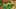 Game screenshot thumbnail 5