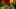 Game screenshot thumbnail 5