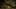 Game screenshot thumbnail 5