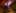 Game screenshot thumbnail 5