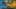 Game screenshot thumbnail 1