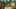 Game screenshot thumbnail 5