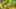 Game screenshot thumbnail 2