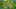 Game screenshot thumbnail 4