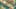 Game screenshot thumbnail 3