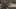 Game screenshot thumbnail 5