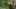Game screenshot thumbnail 1