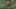 Game screenshot thumbnail 1