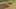 Game screenshot thumbnail 5