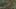 Game screenshot thumbnail 5
