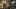 Game screenshot thumbnail 2