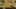 Game screenshot thumbnail 1