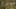 Game screenshot thumbnail 1