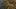 Game screenshot thumbnail 4