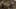 Game screenshot thumbnail 5