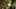 Game screenshot thumbnail 5