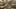 Game screenshot thumbnail 3