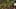 Game screenshot thumbnail 2
