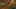 Game screenshot thumbnail 5