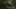 Game screenshot thumbnail 1