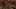 Game screenshot thumbnail 5