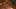 Game screenshot thumbnail 2