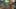 Game screenshot thumbnail 4