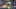 Game screenshot thumbnail 5