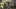 Game screenshot thumbnail 2