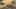 Game screenshot thumbnail 2